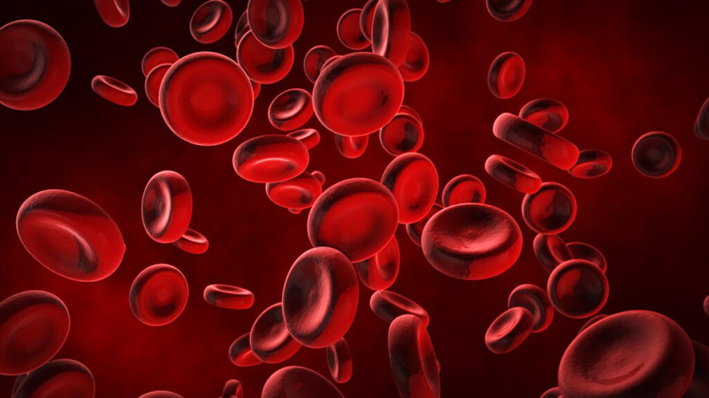 Red Blood Cells and Cord Blood Stem Cells Explained by Miracle Cord