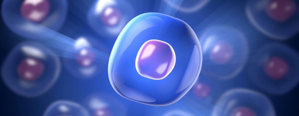 Illustration of a blood cell.