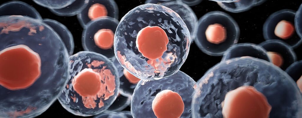 Why Donor Compatibility is Critical And Why Cord Blood Banking is Your Best Choice