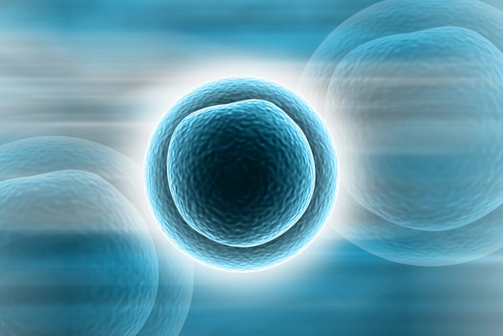 Stem Cell Banking