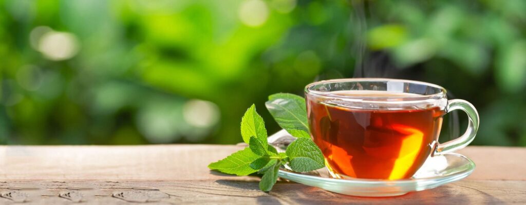 can you drink peppermint tea while pregnant