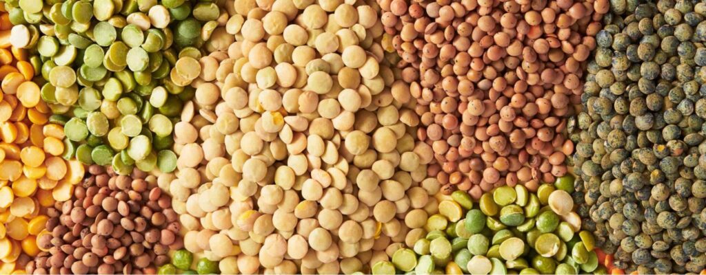 high fiber foods for constipation during pregnancy