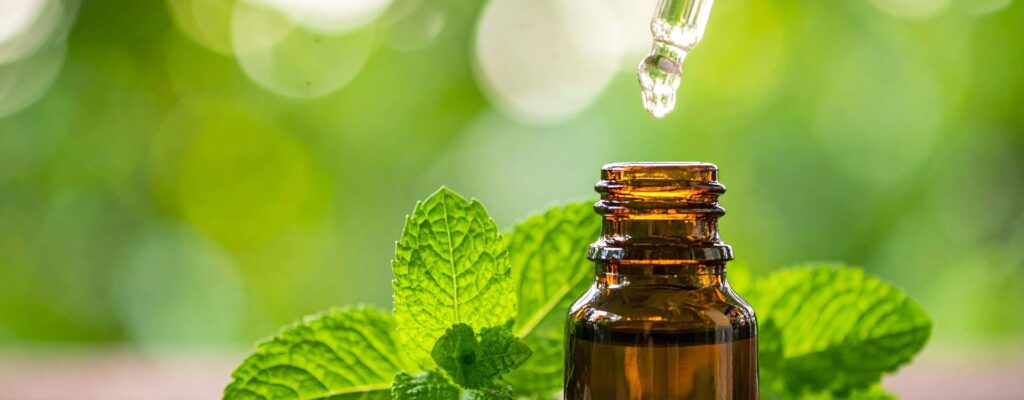 is peppermint oil safe during pregnancy