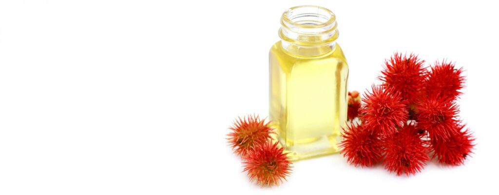 midwives brew ingredients recipes safety and alternatives